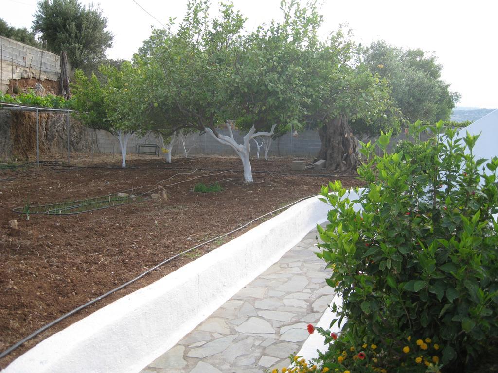 Villa Angela Ίστρο Εξωτερικό φωτογραφία